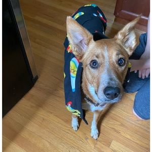 Dog Christmas pJ’s smiley faces with Santa hats on.Size Large. NEW with tags.